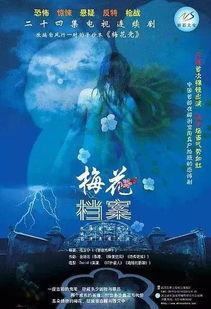 梅花档案在线观看,揭秘古韵梅花背后的传奇故事