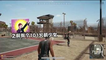 鸡鸭恋在线观看,跨越物种的爱情奇缘