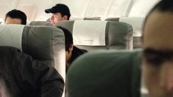 93航班在线观看,空中惊魂，生死瞬间