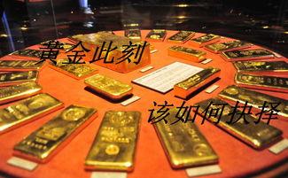 黄金目标在线观看,在线观看之旅的精彩概述