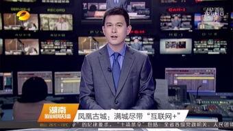 湖南电视台在线观看,畅享精彩瞬间，尽在指尖