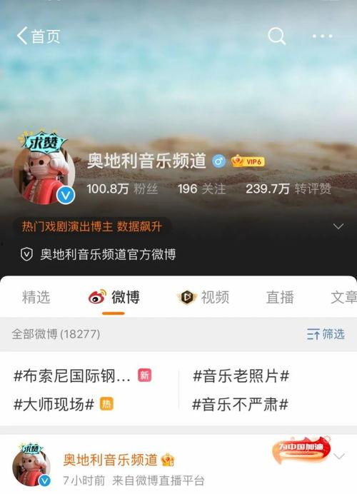音乐频道在线直播观看,尽享全球音乐盛宴