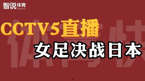 cctv11在线直播观看,尽享精彩文化盛宴