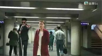 踩过界粤语在线观看,探秘法律边缘的惊险故事